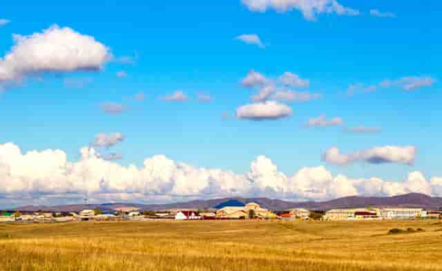 “鄂尔多斯红葱”正逐步走向产业化