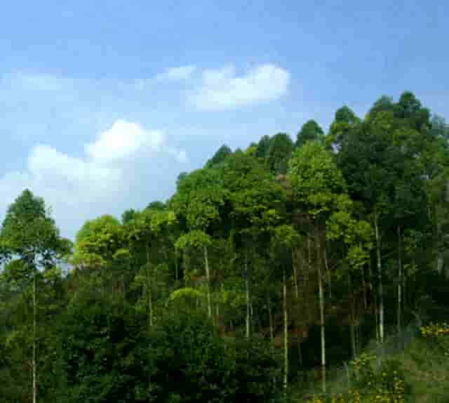 市场公平性何在“明目张胆直播”谁在随意切换天地板