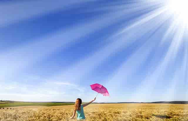 袖虎病猫攻略：猫咪突然乱拉屎怎么办