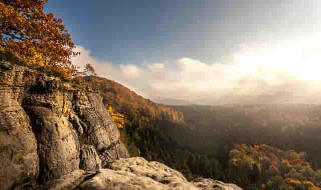 公路主要运输哪些商品(汽车运输对公路的要求有哪些)