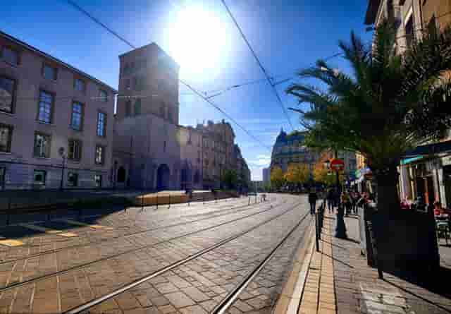 袖虎提醒小心网购宠物骗局！