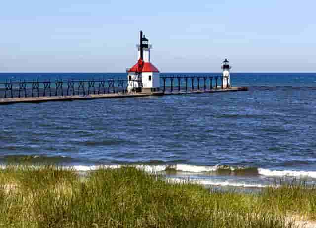 袖虎病狗攻略：狗怎么会瘸？