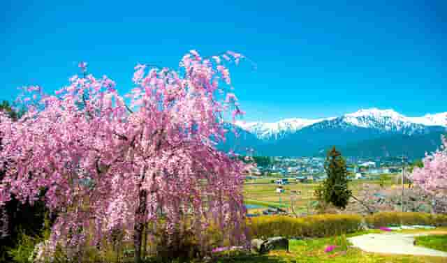 穿着和时尚生活小技巧