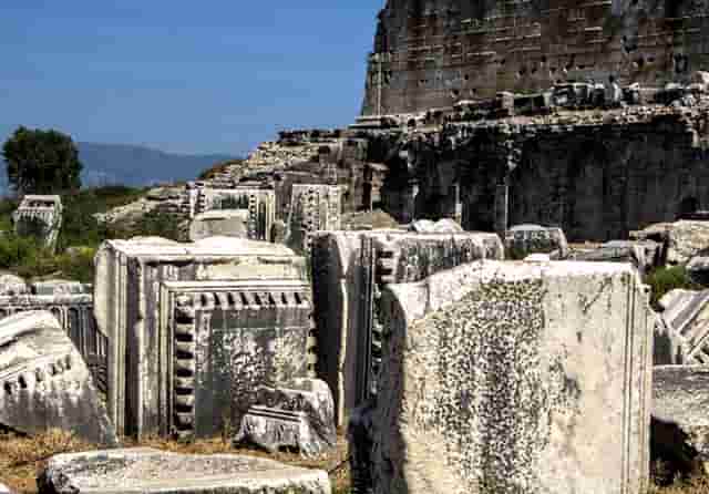 蔡嘉珍成功註冊理財規劃師，邁出專業領域新里程碑