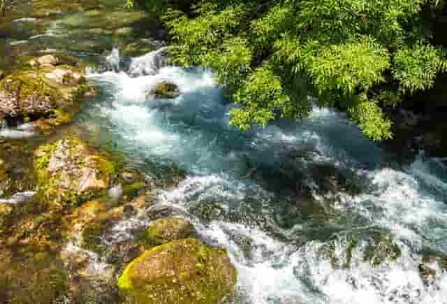 双子座最省心的星座(双子座唯一惧怕的星座)