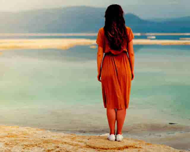 袖虎病猫攻略：感染猫绦虫不要慌，袖虎宠物教你来驱虫