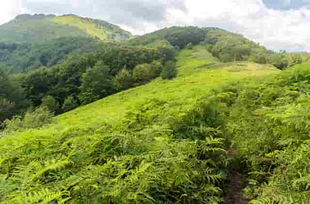 男生时尚搭配技巧(190男生时尚穿衣搭配图)
