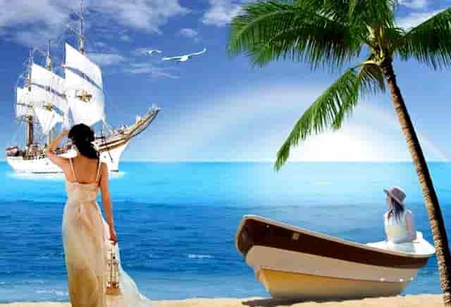 袖虎病猫攻略：猫咪指甲崩飞了怎么办