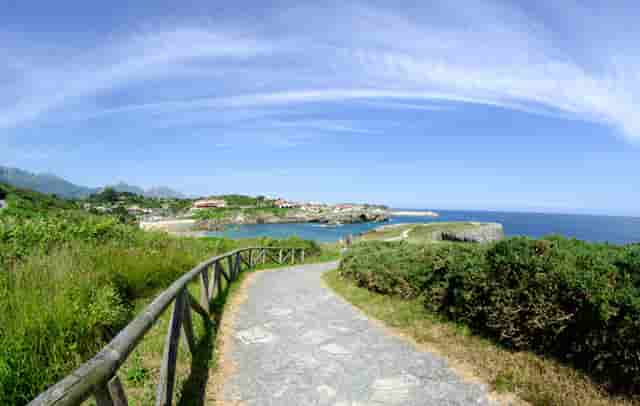 袖虎宠物解答：食品添加剂于猫咪而言都是垃圾吗？