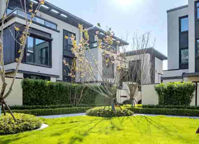 袖虎病狗攻略：狗的几种常见皮肤病，你都知道吗？